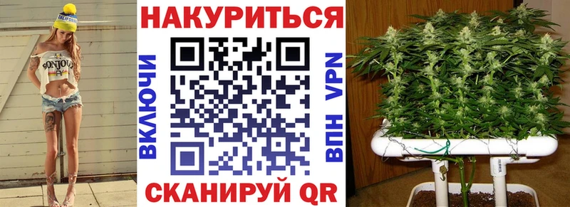 Где купить Подпорожье Псилоцибиновые грибы  СК  Гашиш  МАРИХУАНА 