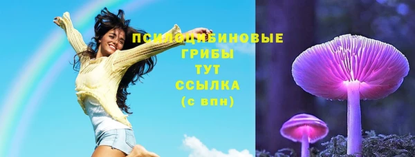 гашик Навашино